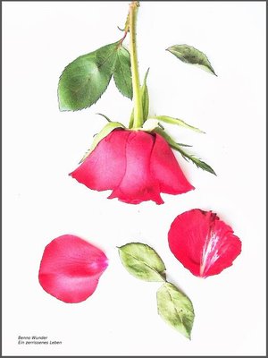 cover image of Ein zerrissenes Leben